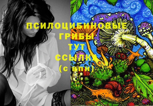 дурь Бородино