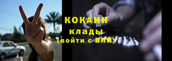 дурь Бородино