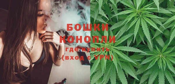 дурь Бородино