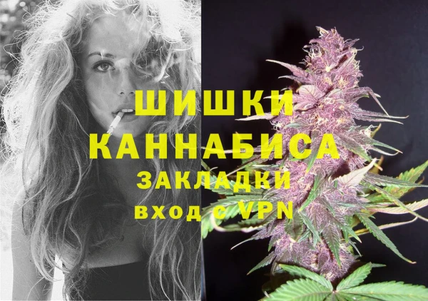 дурь Бородино