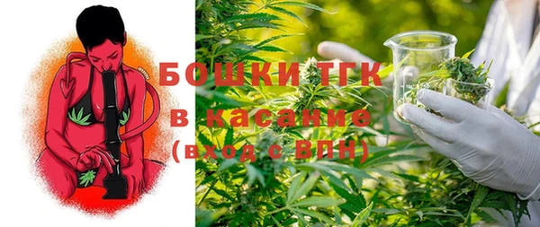 молекула духа Бугульма