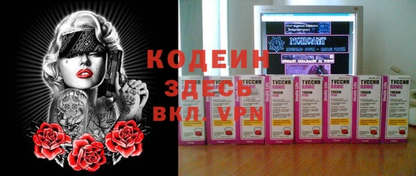 дурь Бородино