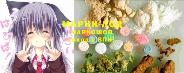 дурь Бородино