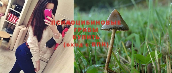 дурь Бородино