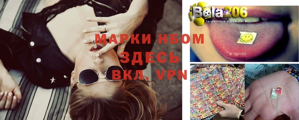 дурь Бородино