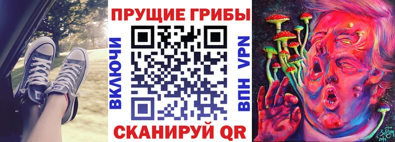 Псилоцибиновые грибы мицелий  магазин    Жуковский 